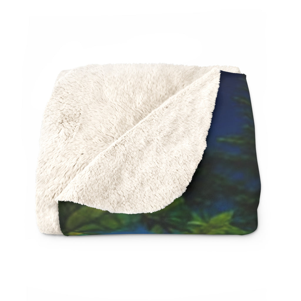 Raccoon Mama & Baby Sherpa Blanket – Cozy Fleece Throw with Northern Lights
