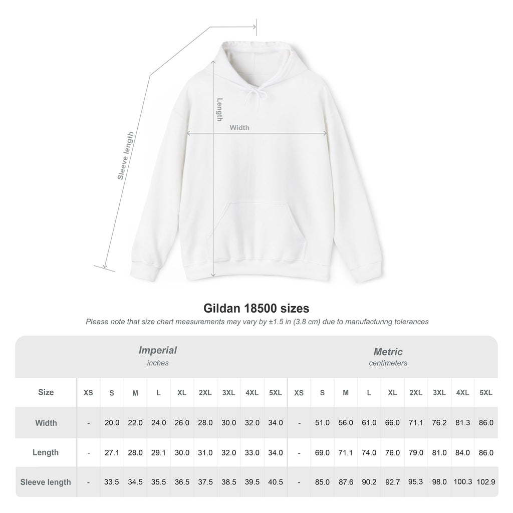 Country Roots Hoodie — Northern Lights Cabin Graphic Pullover